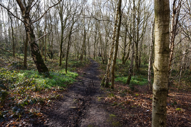 Trans Pennine Trail towards Canklow... © Ian S cc-by-sa/2.0 :: Geograph ...