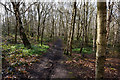 Trans Pennine Trail towards Canklow Woods