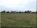 TM0660 : Playing field off Thorney Green Road by Geographer