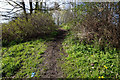 Footpath off Mill Lane Treeton