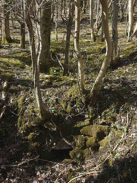Possible ruined lime kiln, woods west of Haverbrack