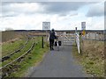 N1518 : Level crossing in the Lough Boora Discovery Park by Oliver Dixon