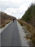 N1519 : Cycle path in the Lough Boora Discovery Park by Oliver Dixon
