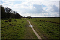 Trans Pennine Trail at Woodhouse Washlands