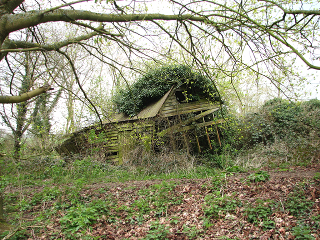 Derelict shed beside Wymondham Road