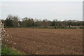 Looking across at the railway from the byway leading off the B1188 at Dunston