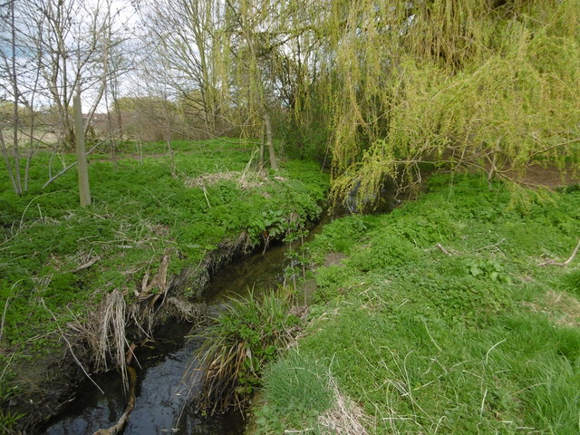 The Roxbourne in Newton Park (West) © Marathon cc-by-sa/2.0 :: Geograph ...