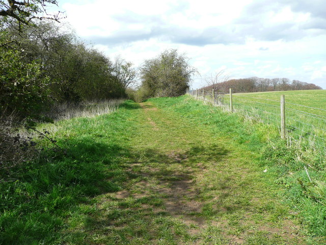 Footpath to Sharpenhoe Clappers,... © Humphrey Bolton :: Geograph ...