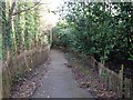 TQ6040 : Path leading from Pembury Road towards Hall's Hole Road, Tunbridge Wells by Chris Whippet