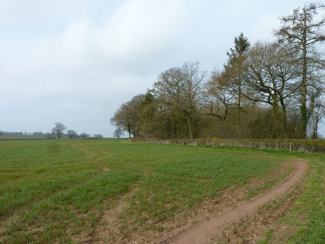 Fieldside footpath