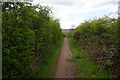 Trans Pennine Trail at Linley Bank Meadows