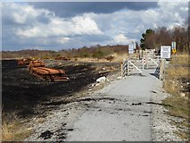 N1621 : Level crossing in the Lough Boora Discovery Park by Oliver Dixon