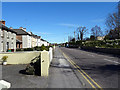 V9691 : Lewis Road, Killarney, looking north by John Lucas