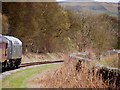 SD7819 : East Lancashire Railway Approaching Irwell Vale by David Dixon