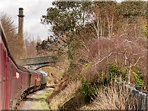 SD8022 : East Lancashire Railway, Accommodation Bridge near Rawtenstall by David Dixon