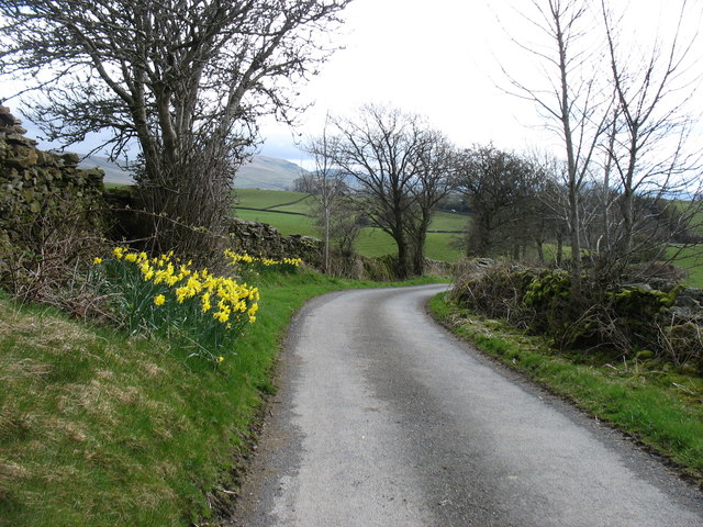 The lane from Mosergh Farm