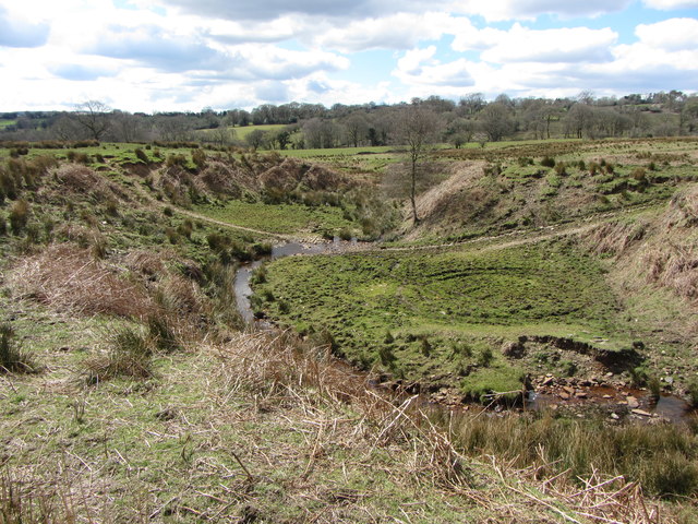 Stream and valley on Gelli-gaer Common