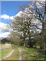 Track and field boundary near Gelligaer