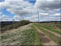ST1296 : Footpath near Gelligaer by Gareth James