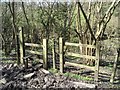 Woodland Stile