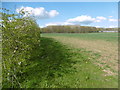 Field alongside Maidstone Road