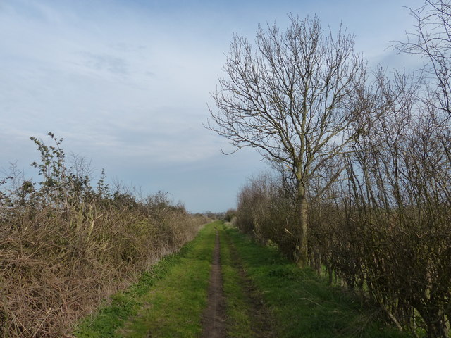 Sutton Crossways track