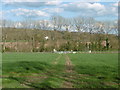 Track to the Medway Valley Line