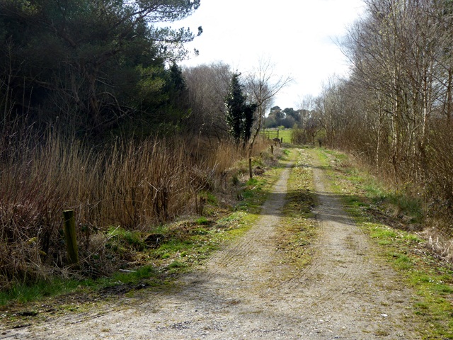 Farm track at Lea Beg