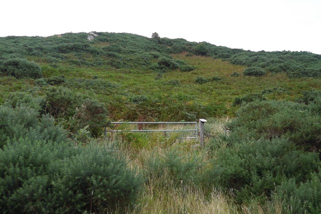 Overgrown land, Borgie © Richard Webb cc-by-sa/2.0 :: Geograph Britain ...