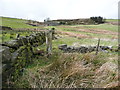 Stile on the footpath from Kennel Lane to Delfs Lane