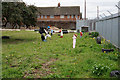 Garden off Constable Street, Hull