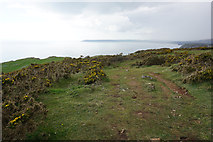 SS5686 : Wales Coast Path on Pwlldu Head by Bill Boaden