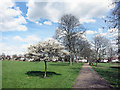 TQ2388 : Capital Ring in Hendon Park by Des Blenkinsopp
