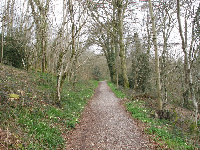 Primroses in woodland path, Buckland... © David Hawgood cc-by-sa/2.0 ...