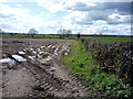 Hedgerow and field off Ashbourne Road