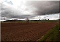 Farmland near Ladenford Farm