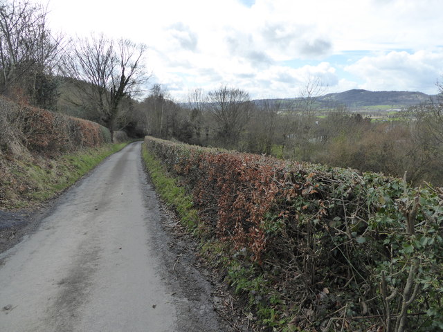 A lane near Hope, near Welshpool