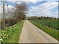TM1256 : Footpath to Green Lane Farm & entrance to Home Farm by Geographer