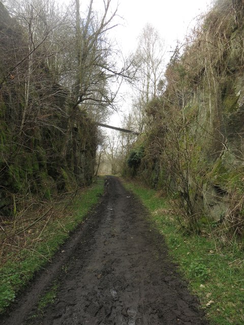 Former railway cutting