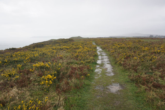 Clifftop path near East Cliff