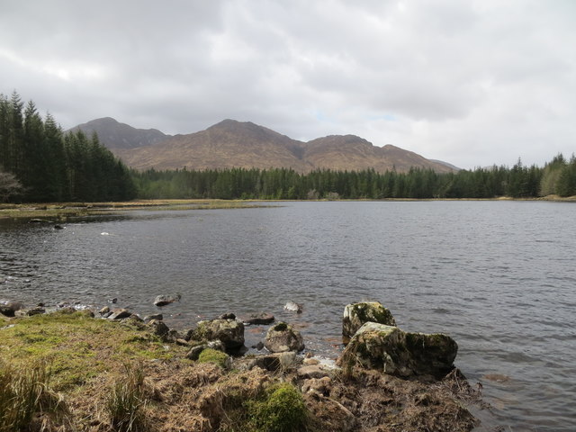 Lochan Dubh Torr an Tairbeirt surrounded by forest