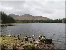 NM9378 : Lochan Dubh Torr an Tairbeirt surrounded by forest by John Ferguson