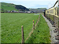SN6480 : Vale of Rheidol Railway near Pwllcenawon by David Dixon