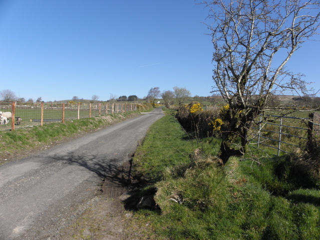 Road and tree, Meenadoo © Kenneth Allen cc-by-sa/2.0 :: Geograph Ireland