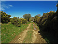 Bridleway to Pantsaeson, Monington