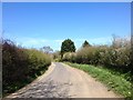 Mill Lane, near Yalding