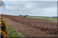 Tractor at Work, North Auchinweet