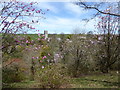 Marwood Hill Gardens and Marwood Church