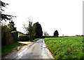 TM1155 : Buck's Head Lane, Coddenham Green by Geographer