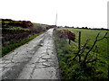 Concrete lane, Radergan